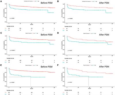 Corrigendum: The predictive role of intraoperative blood transfusion components in the prognosis of heart transplantation